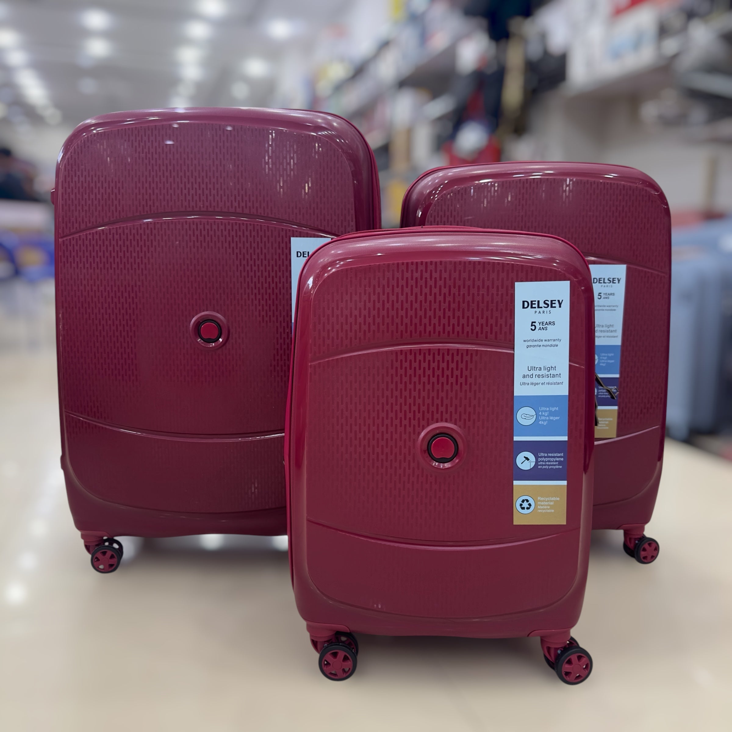 Delsey Paris Initial Luggage Set