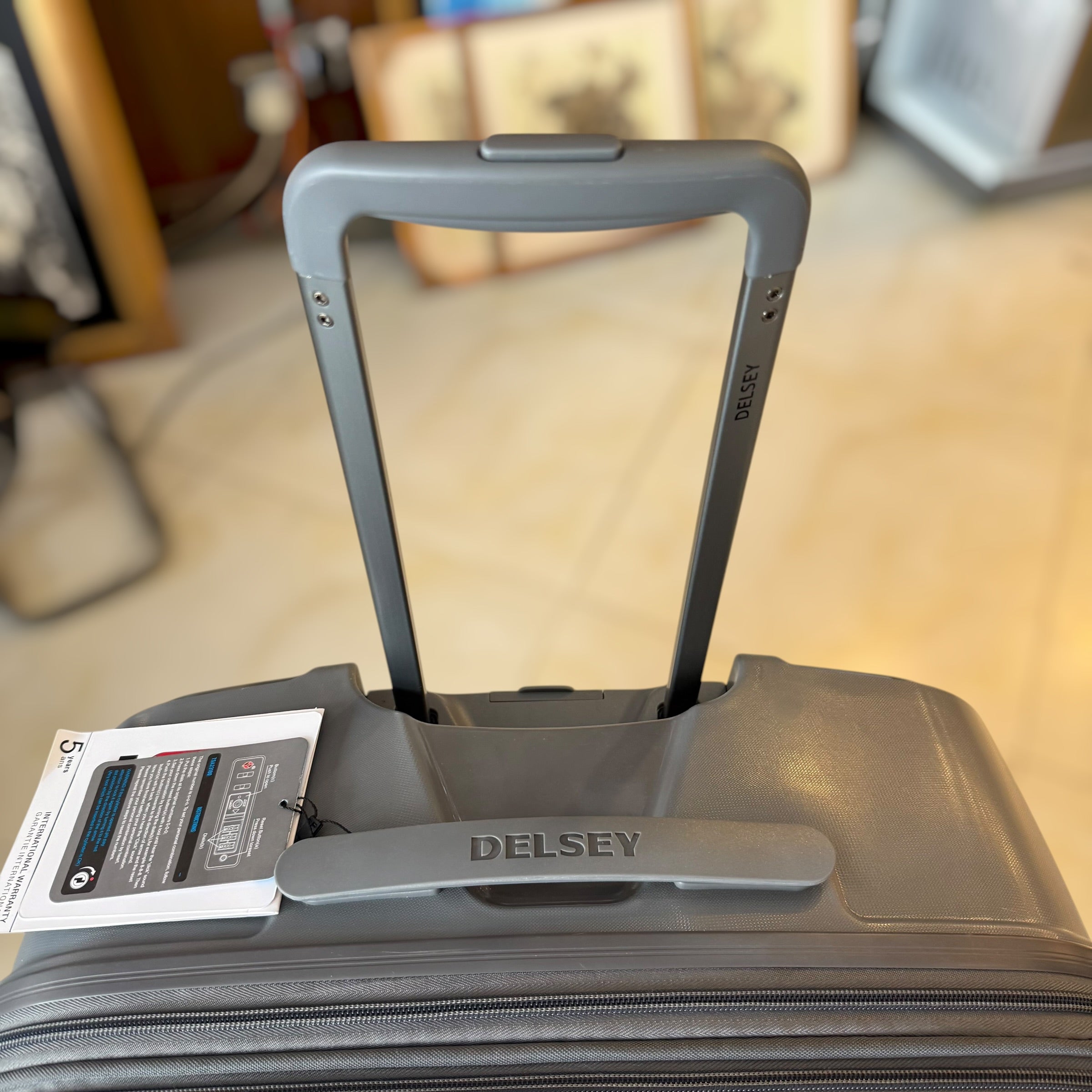 Delsey Paris Initial Luggage Set